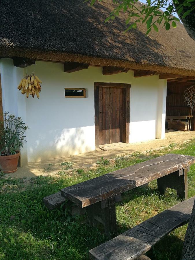 Hrgova Hiska Guest House พทุย ภายนอก รูปภาพ